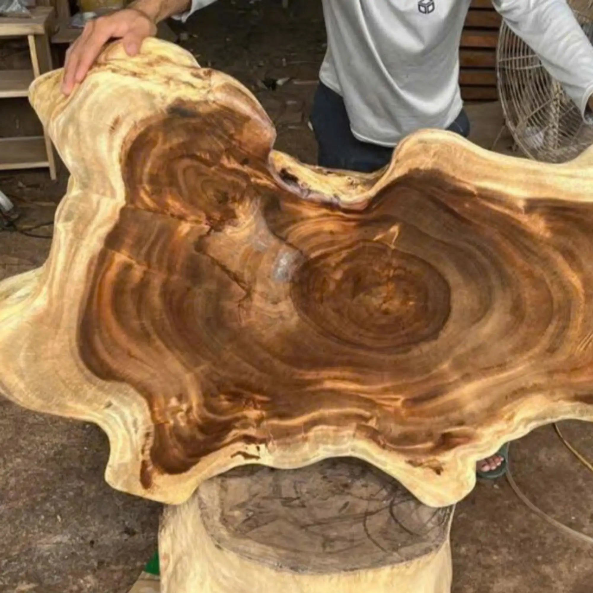 Live Edge Coffee Table Rustic Solid Wood CTICF25001