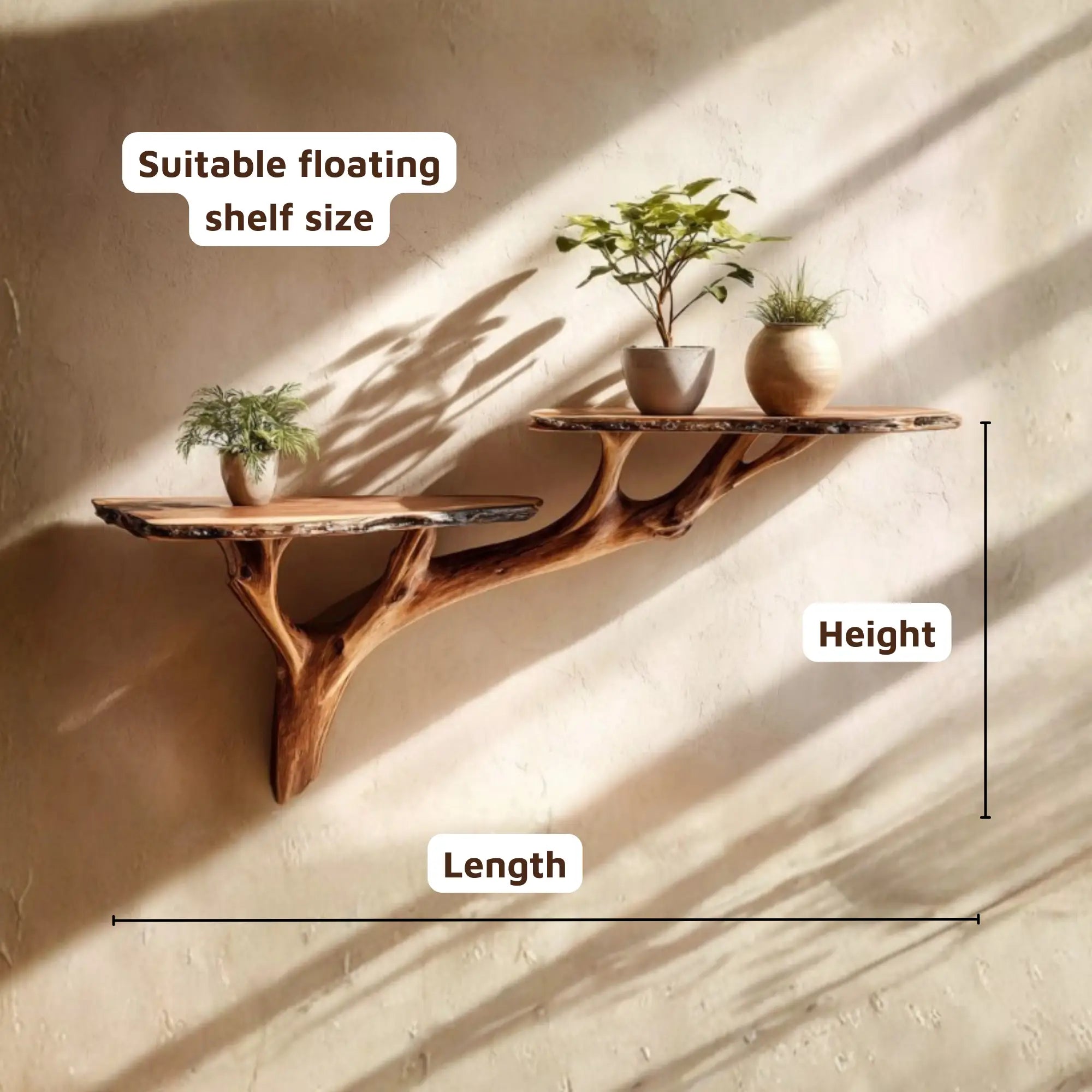 Hand Carved Wood Tree Branch Wall Mounted Shelf CTITB25002