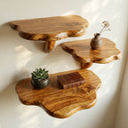 Handmade Wooden Mushroom Live Edge Shelf CTIMR25003