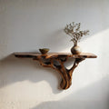 Live Edge Natural Tree Root Wall Shelf CTITB25003