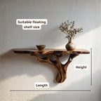 Live Edge Natural Tree Root Wall Shelf CTITB25003
