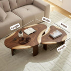 Modern Freeform Organic Curved Suar Wood Nesting Coffee Table CTINE25001
