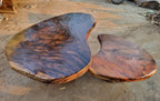 Modern Freeform Organic Curved Suar Wood Nesting Coffee Table CTINE25001