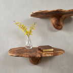 Natural Mushroom Wood Floating Shelf CTIMR25002