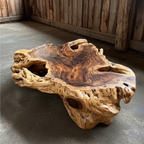 Root Coffee Tables for Nature Inspired Living Space Solid Wood CTICF25006