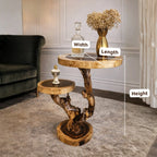 Rustic Wooden Side Table for Living Room Decor CTIEN25002