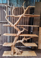 Natural Driftwood Tree Floating Bookshelf CTITB25011