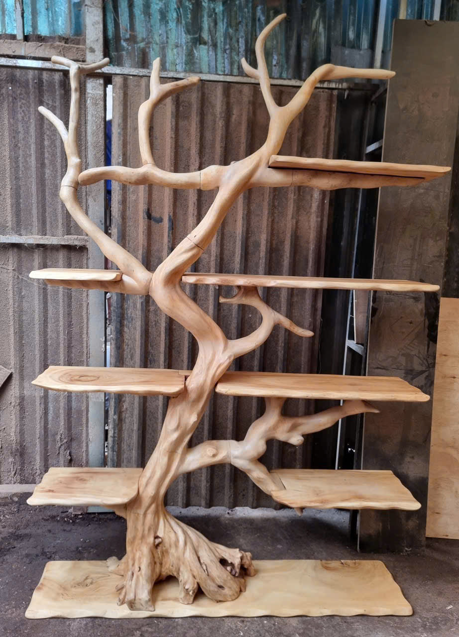 Natural Driftwood Tree Floating Bookshelf CTITB25011